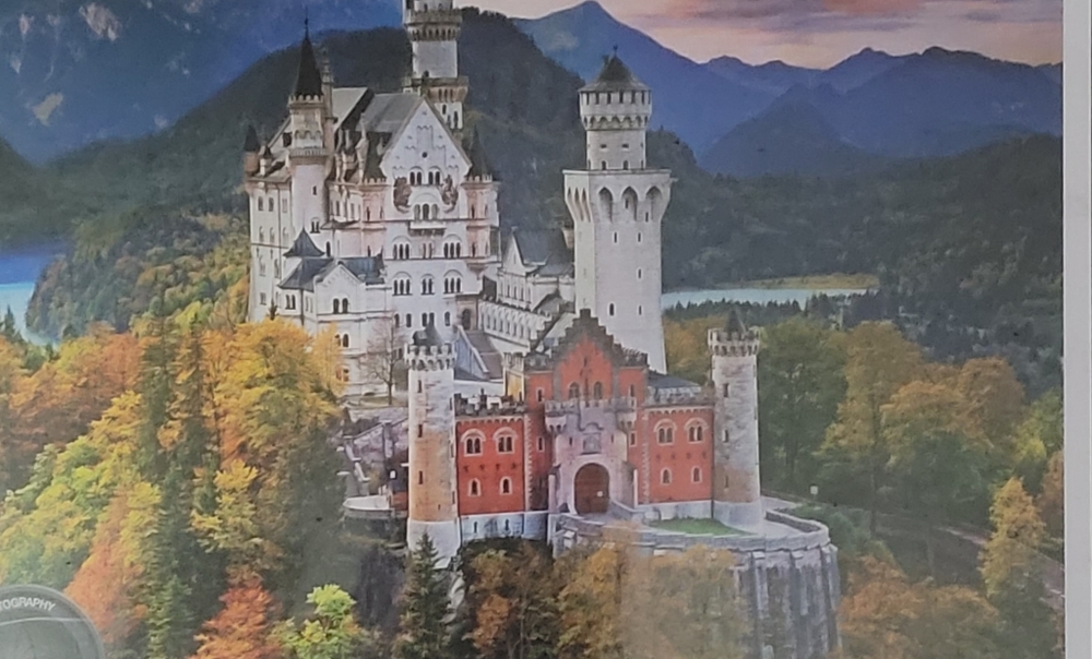 1000 Piece Puzzle.